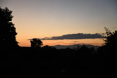 July 2023 - Backyard